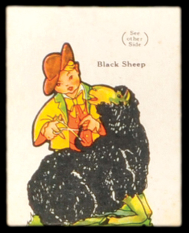 11 Black Sheep
